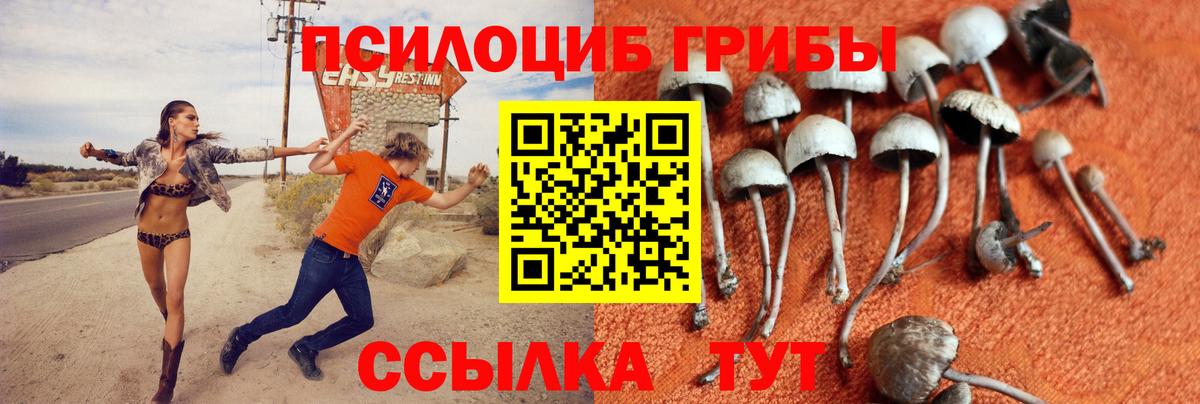 Галлюциногенные грибы Psilocybe  Вход с VPN  Псилоцибиновые грибы ЛСД  Донской 