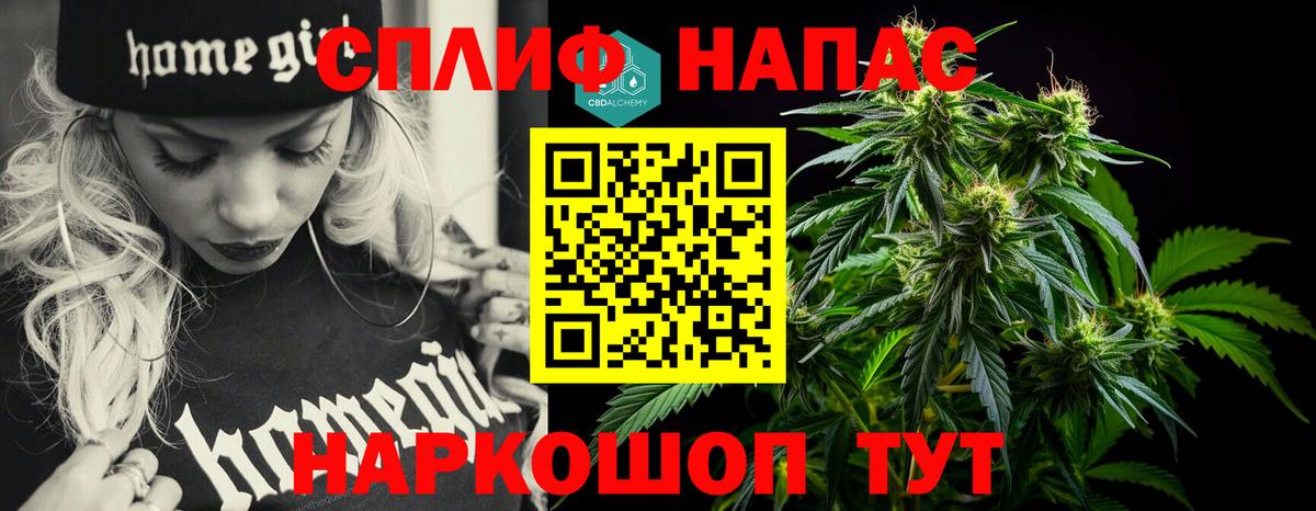 Шишки марихуана марихуана Донской